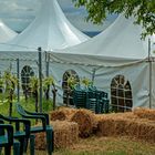 Strohballen und Festzelte beim Weinfrühling in Birkweiler