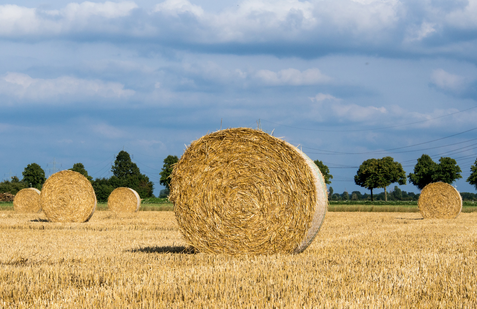 Strohballen unter blauem Himmel - Heimat :)