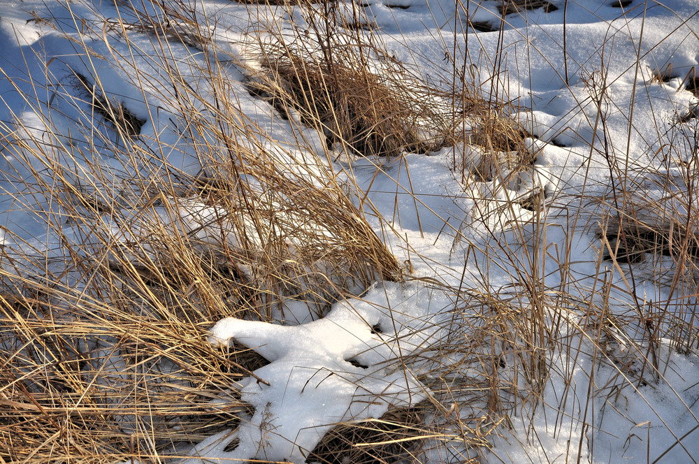 "Strohbild" im Schnee