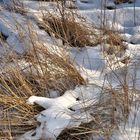 "Strohbild" im Schnee