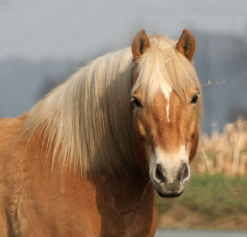 strohblond...