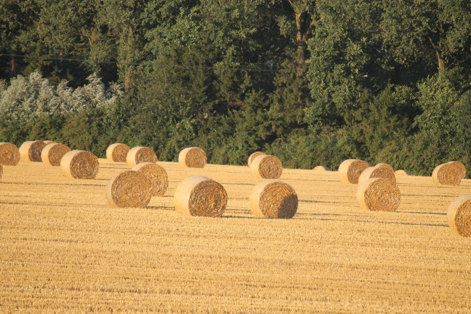 Strohernte am Niederrhein !!