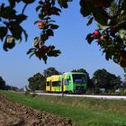 Strohgäubahn im Herbst