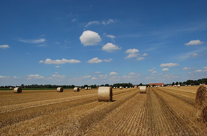 Strohlandschaft Langenhagen