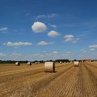 Strohlandschaft Langenhagen