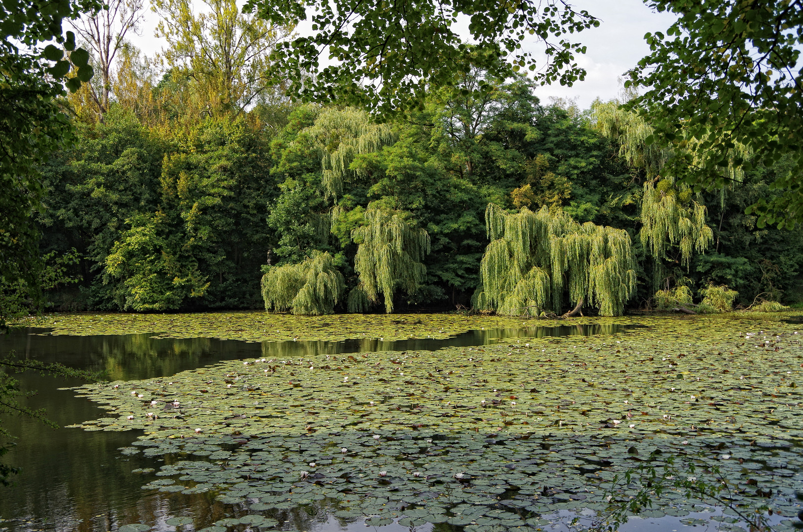 Strohmühlenteich