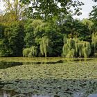 Strohmühlenteich