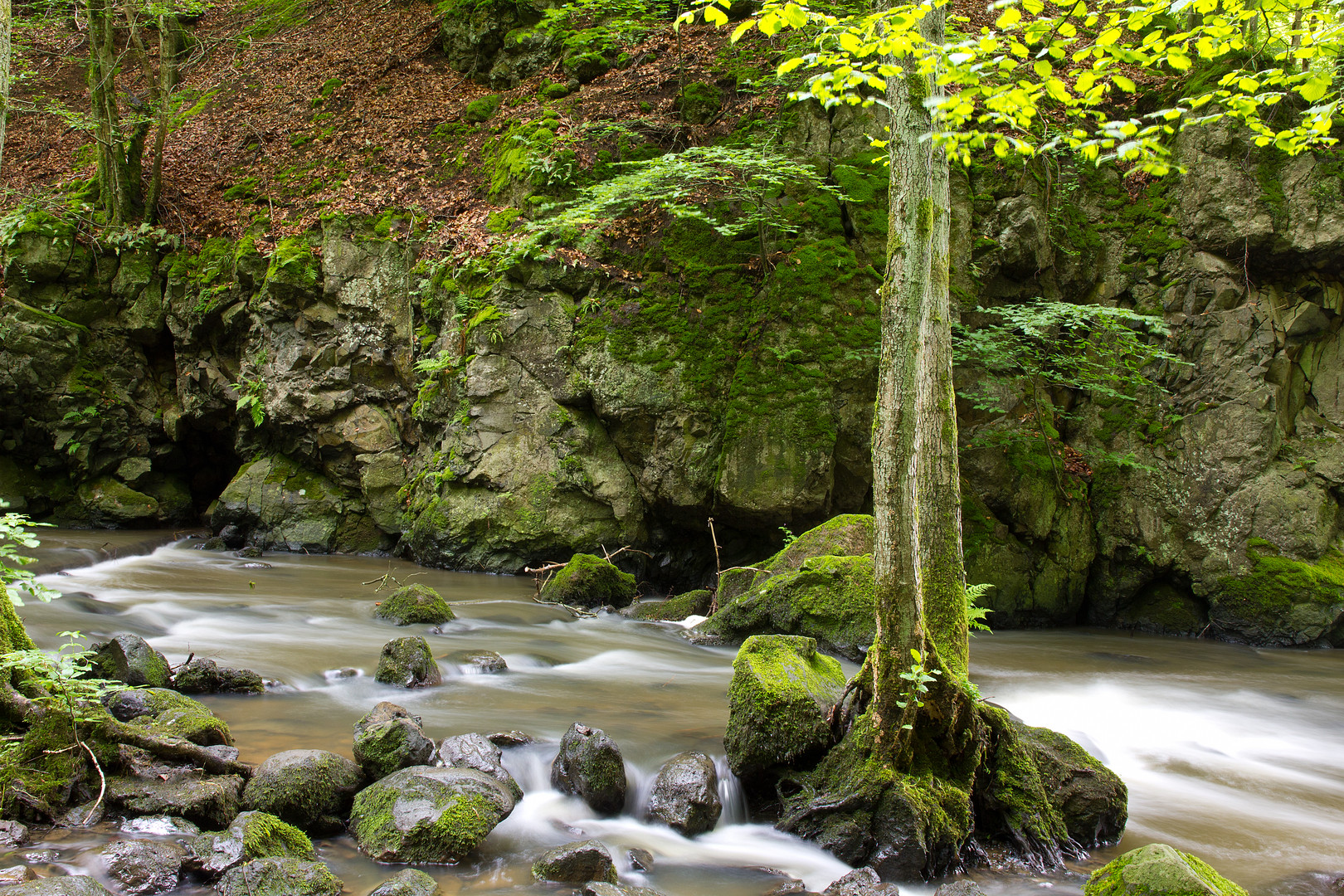 Strohner Schweiz