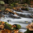 Strohner Schweiz im Herbst