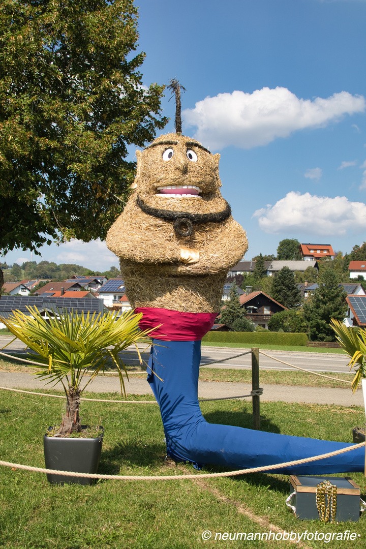 Strohpark Schwenningen 2023