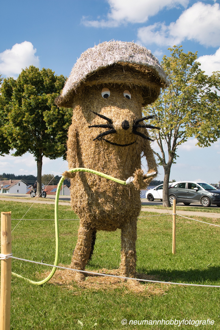 Strohpark Schwenningen 2023