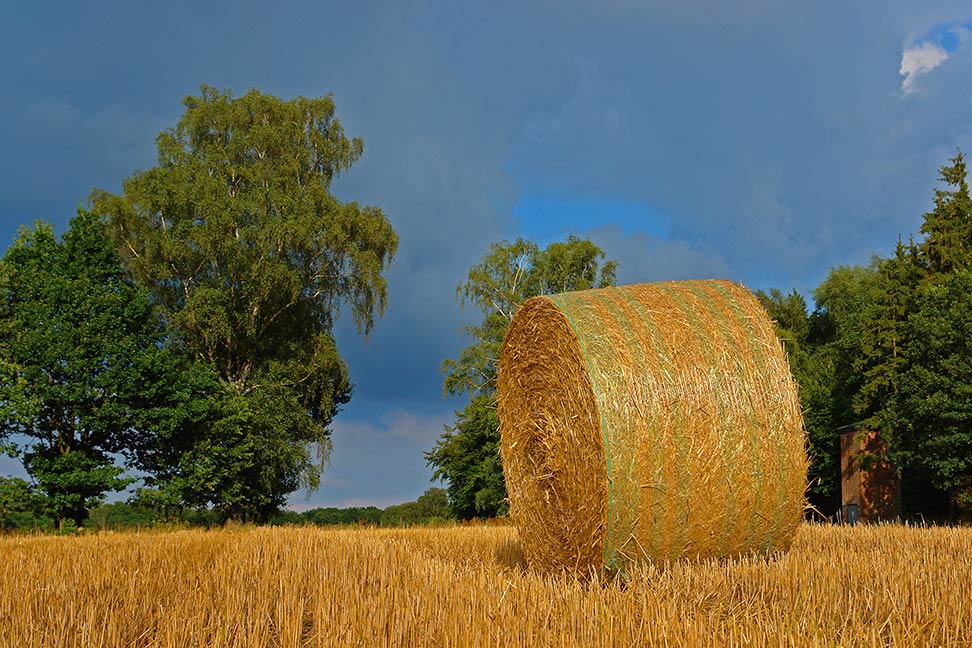 Strohrolle im Wendland nähe Wedderin