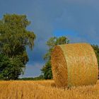 Strohrolle im Wendland nähe Wedderin