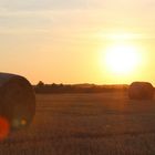 Strohrollen im ersten Morgenlicht