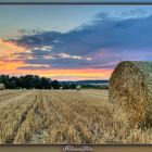 Strohrollen im Sonnenuntergang