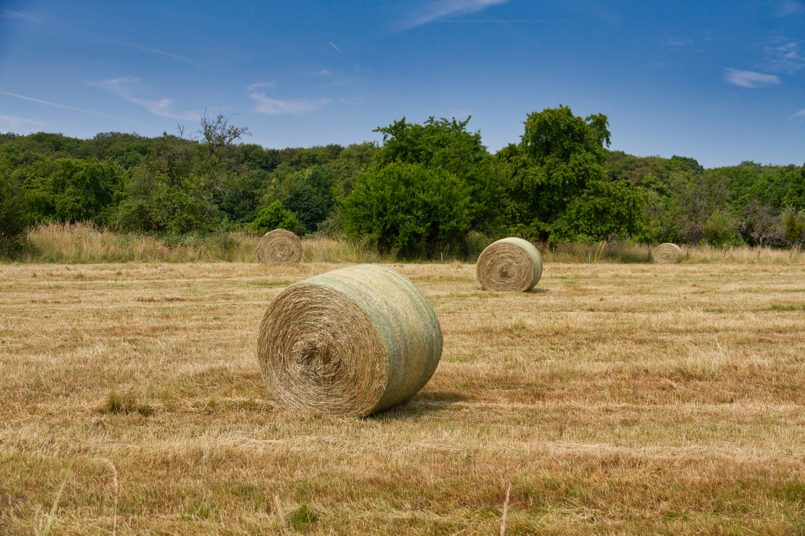 Strohrollen in der Eifel