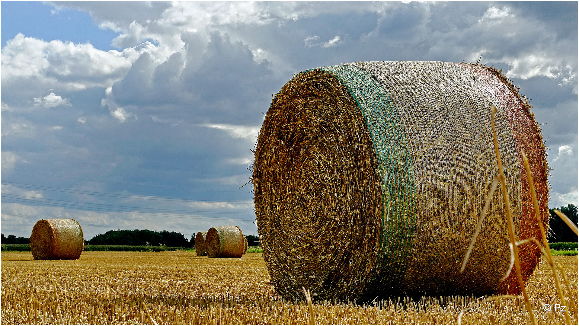 Strohrollen künden von der Erntezeit ...