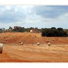 Strohrollenrennen auf Mallorca