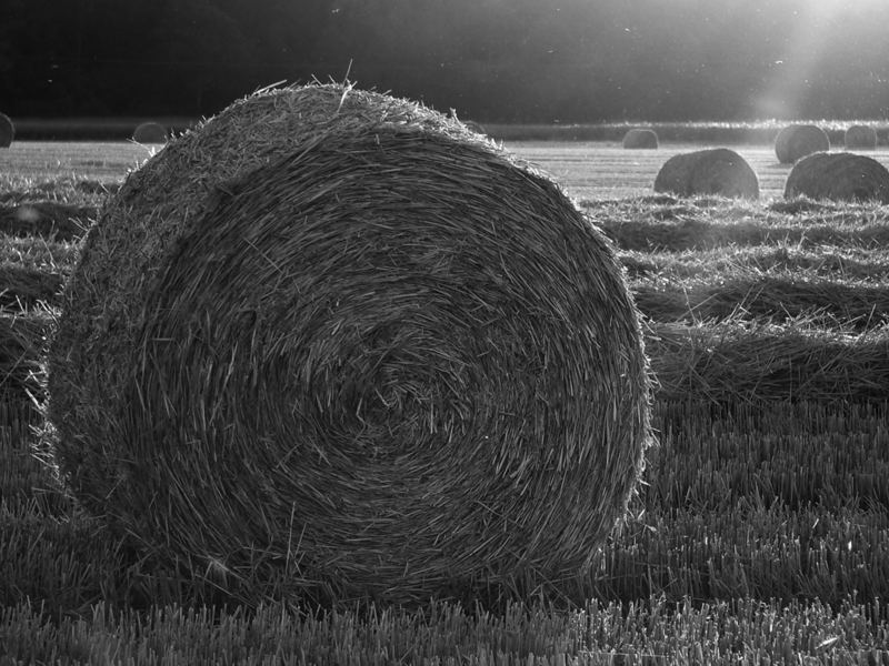 STROH(RUND)BALLEN