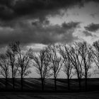 Stroll in the storm