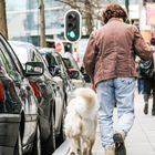 Stroll with the dog (Brussels, Apr 2016)