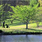 Stroller-ing by Lake Caroline in Golden Hour - A Meadowlark Moment
