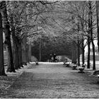 Strollers in a Frosty Hofgarten