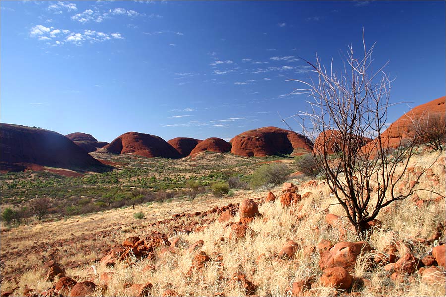 Strolling around the Olgas...