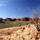 Strolling around the Olgas...