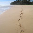 Strolling on the beach