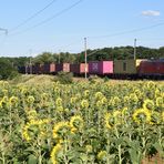 Strom Blumen Güterzug