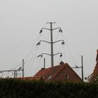 Strom ist in der kleinsten Hütte