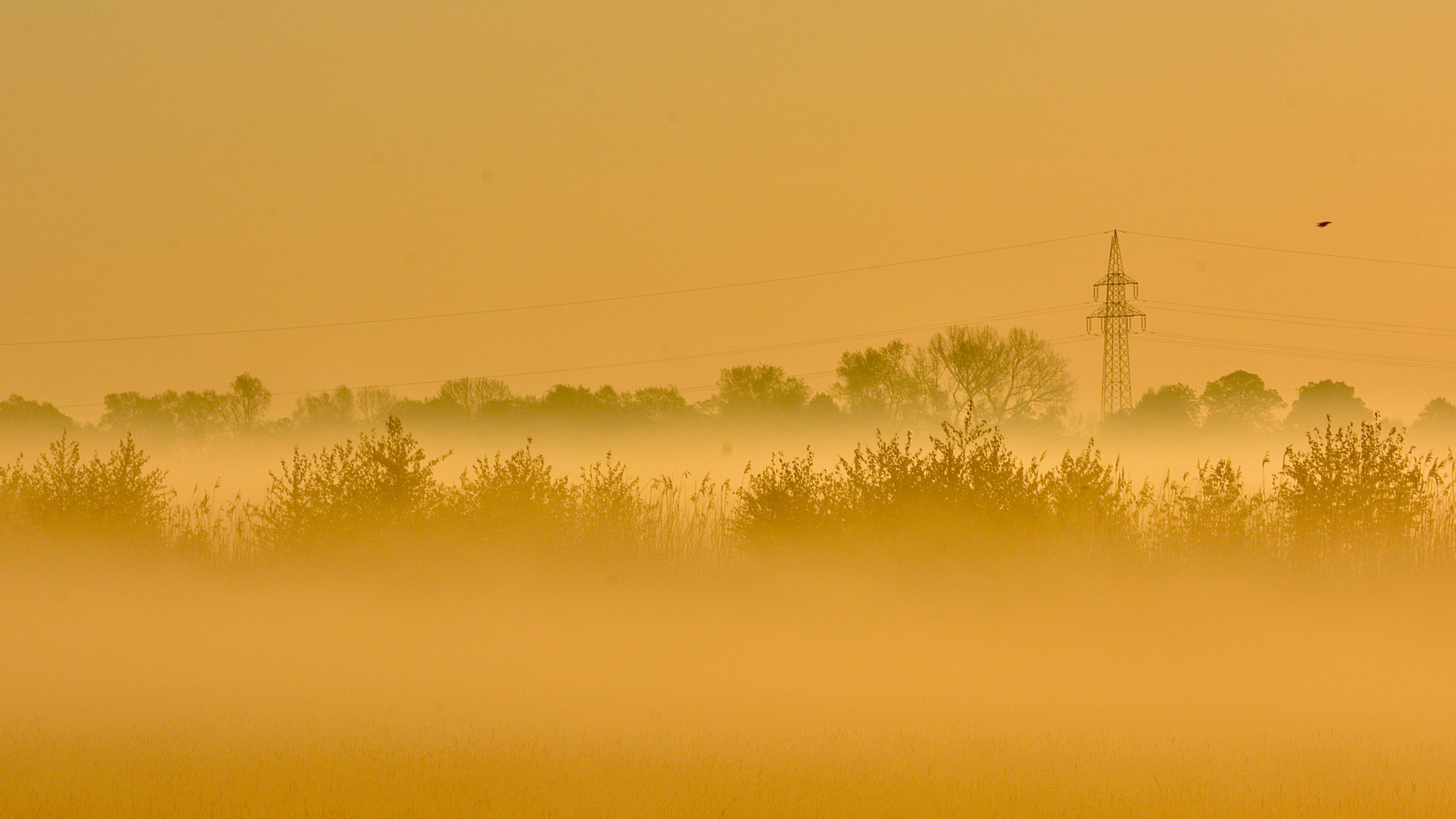 Strom kennt keinen Nebel