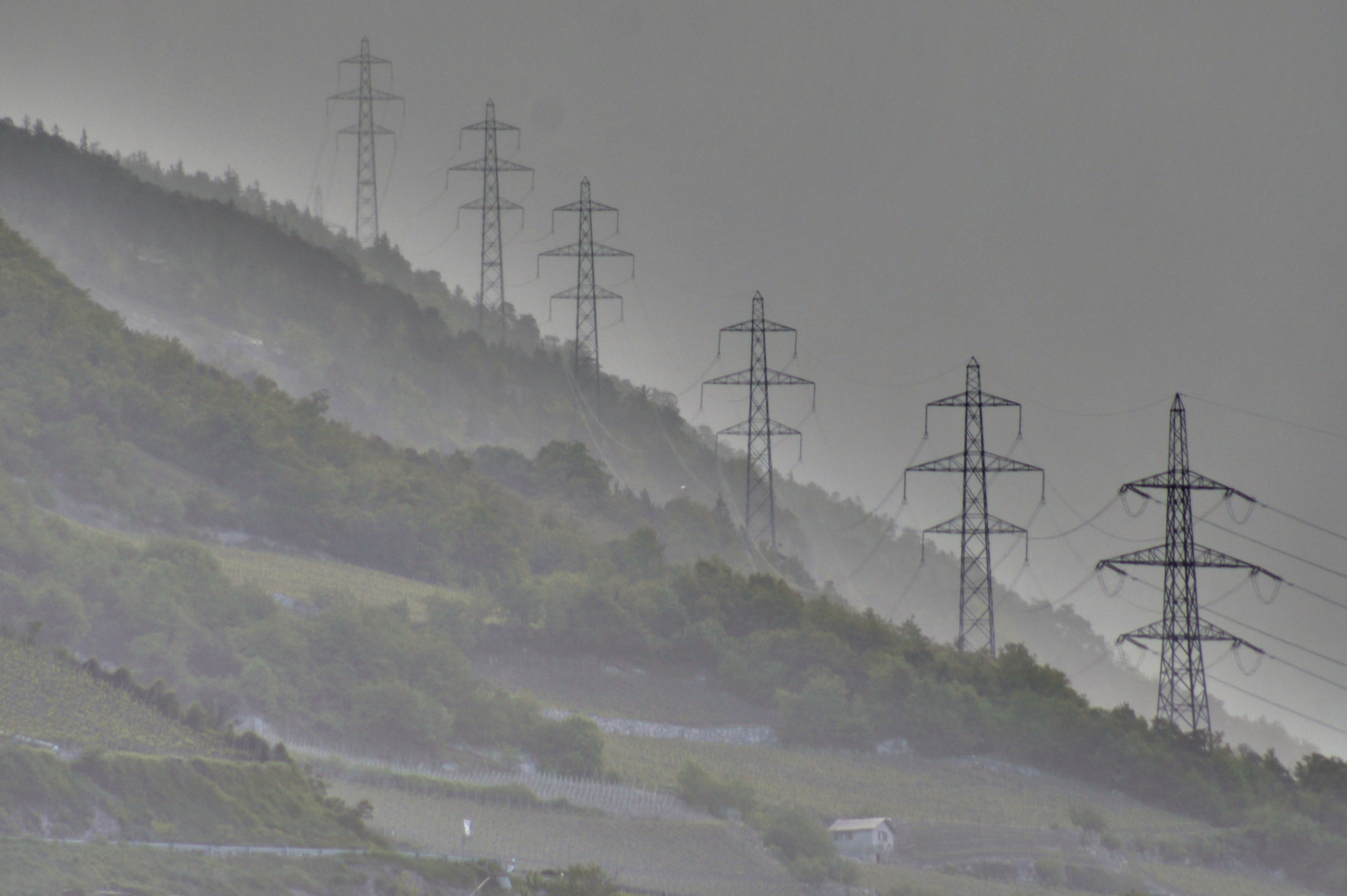 Strom (Wald)