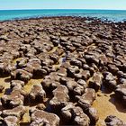 * Stromatolites / Shark Bay *