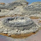 ..Stromatolith 5..
