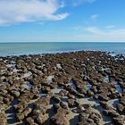 + Stromatolithen +