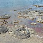 ..Stromatolithen..