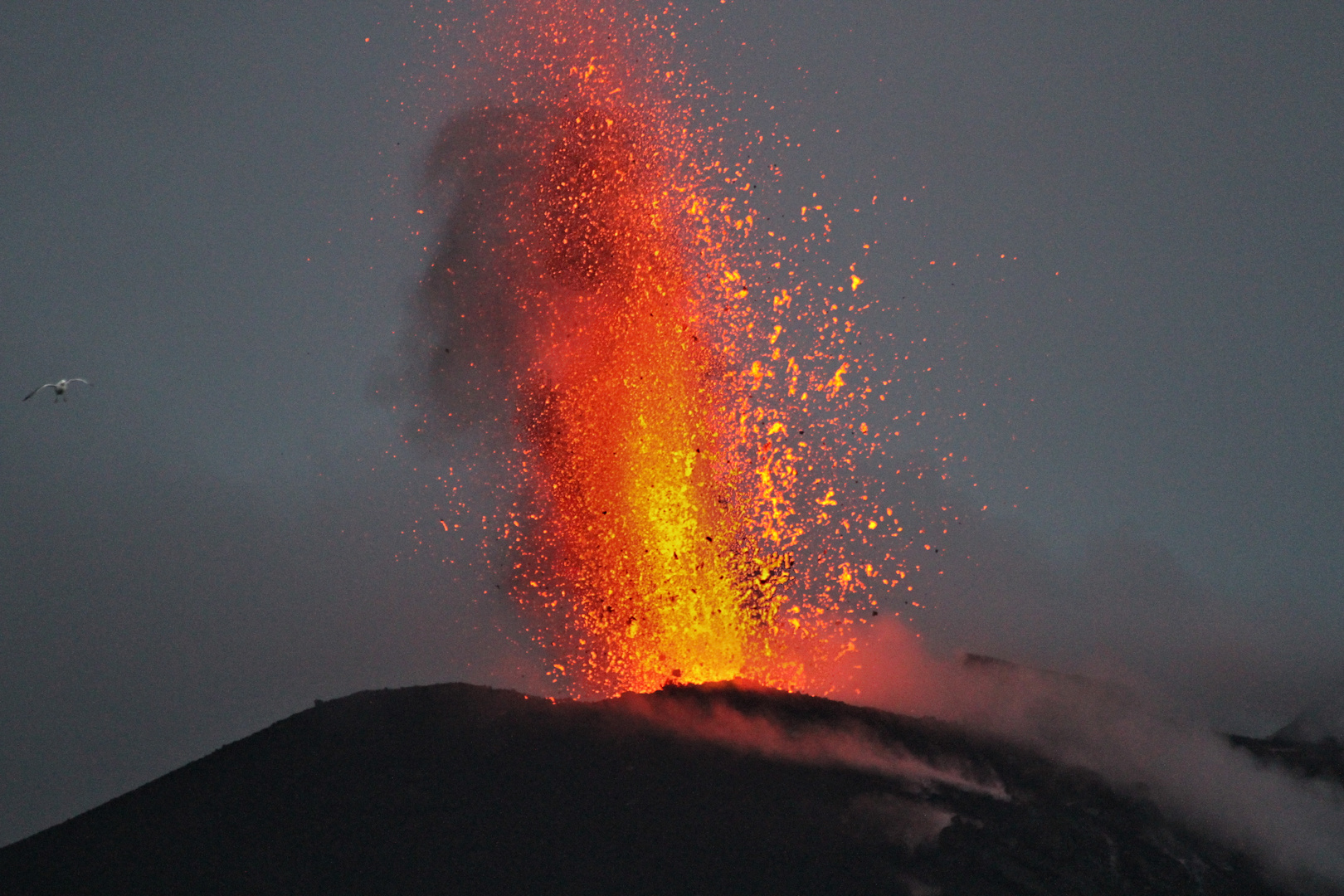 Stromboli Foto Bild Italy World Natur Bilder Auf Fotocommunity