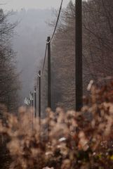 Stromleitung durch den herbstlichen Wald