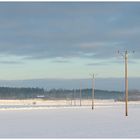 Strommäste in der Schneelandschaft