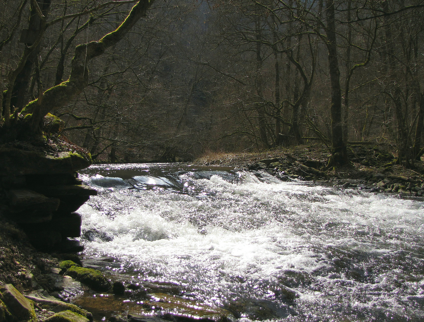 Stromschnelle der Elz