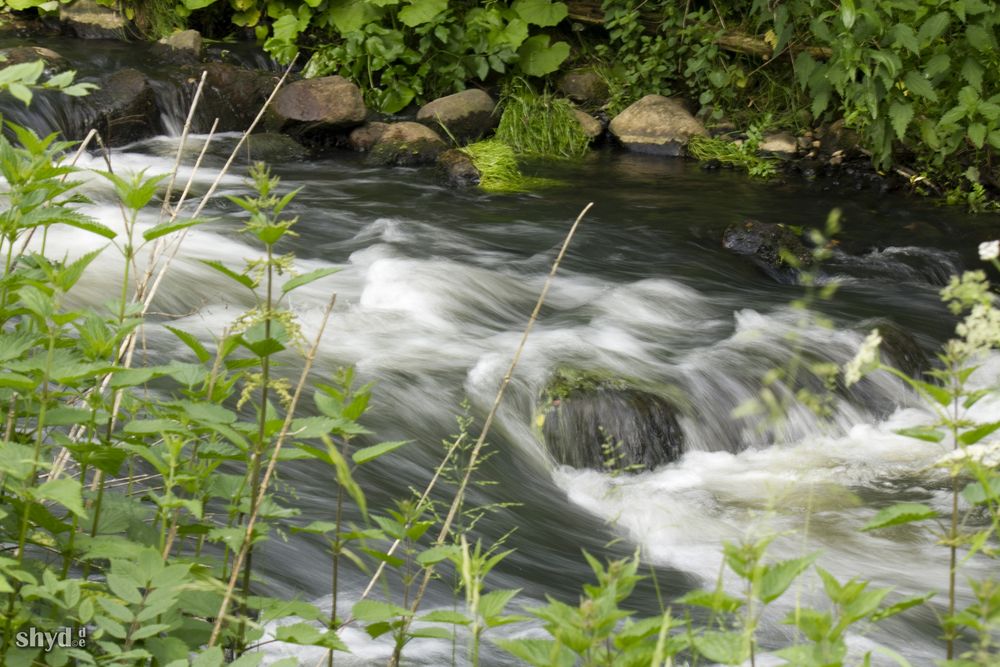 Stromschnelle der Stör