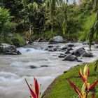 Stromschnellen in Payatanga, Ecuador