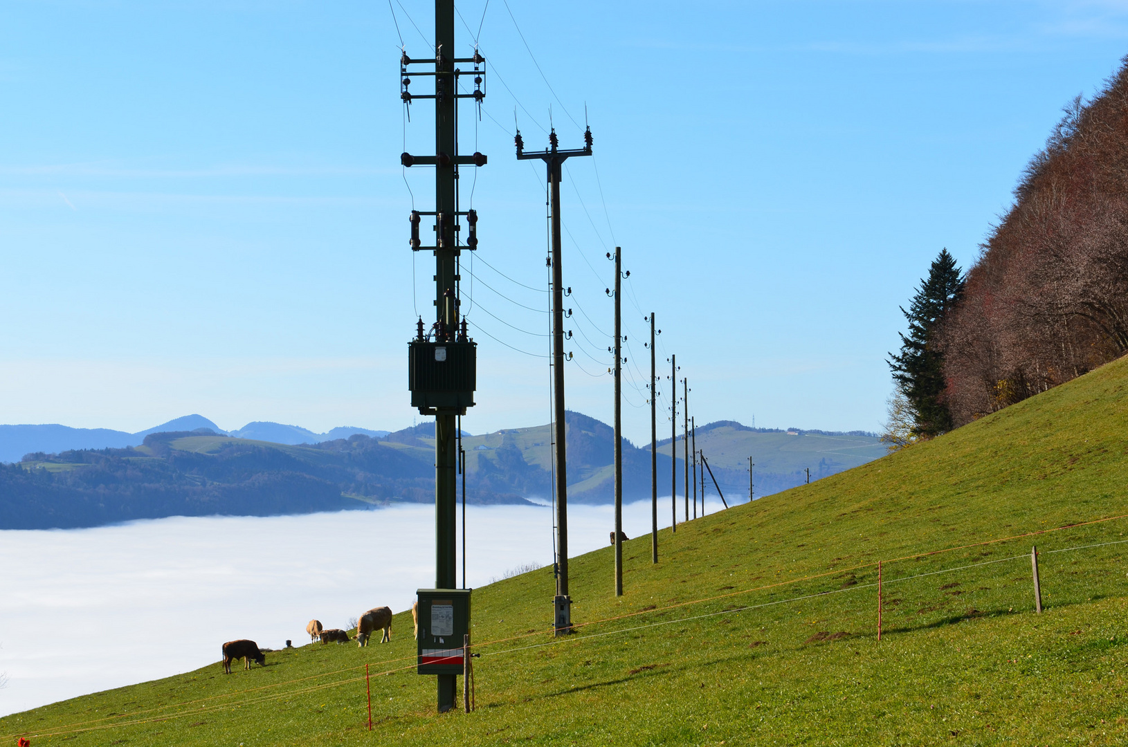 Stromversorgung auf der Alp (Passwang)