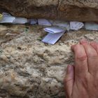 Strong believing, Western Wall
