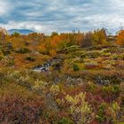 Stroplsjödalen im Herbst