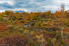 Stroplsjödalen im Herbst