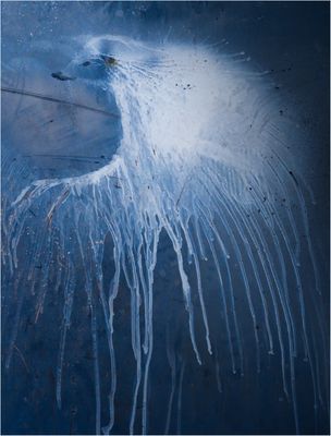 Strubbelstrüpp , Jungtier ……..