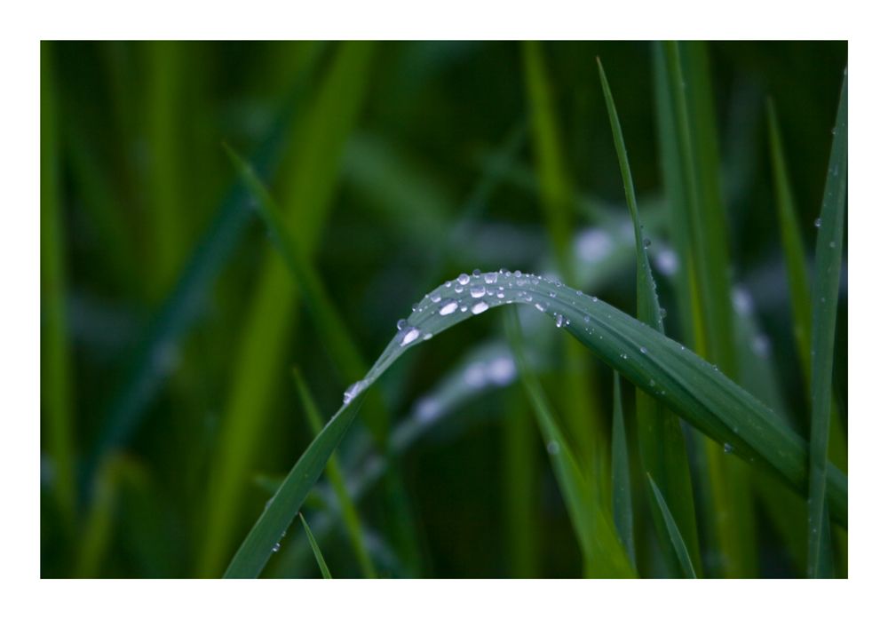 Struck in the Rain